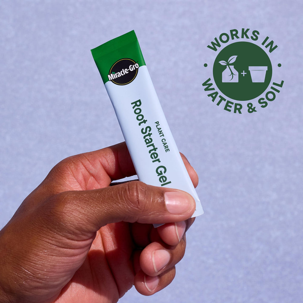 Pack of Miracle-Gro Root Starter Gel showing four packets