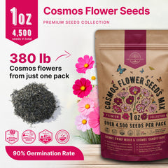 Pack of Organo Republic Cosmos seeds with QR code for growing guide