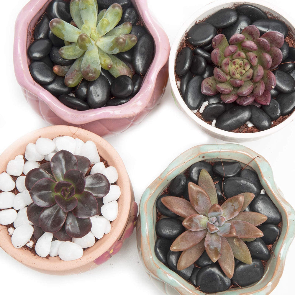 Pack of OUPENG black decorative pebbles on a wooden table