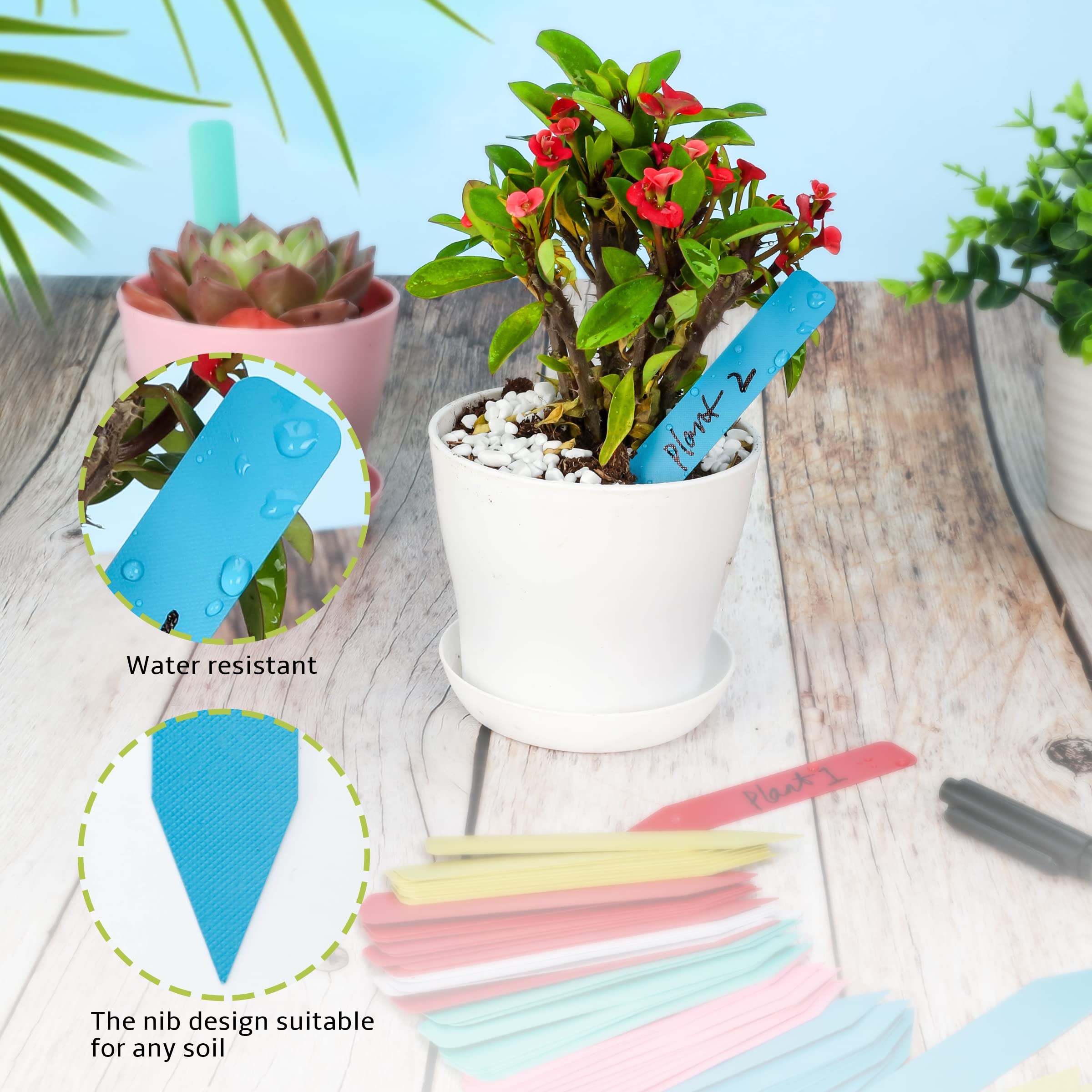 Pack of TDHDIKE plant labels displayed on a garden table