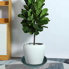 Pack of three Bleuhome 22-inch plant saucers stacked