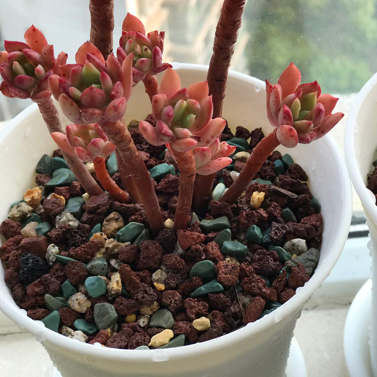 Pack of TOYPOPOR 2.2 lb Lava Pebbles side view