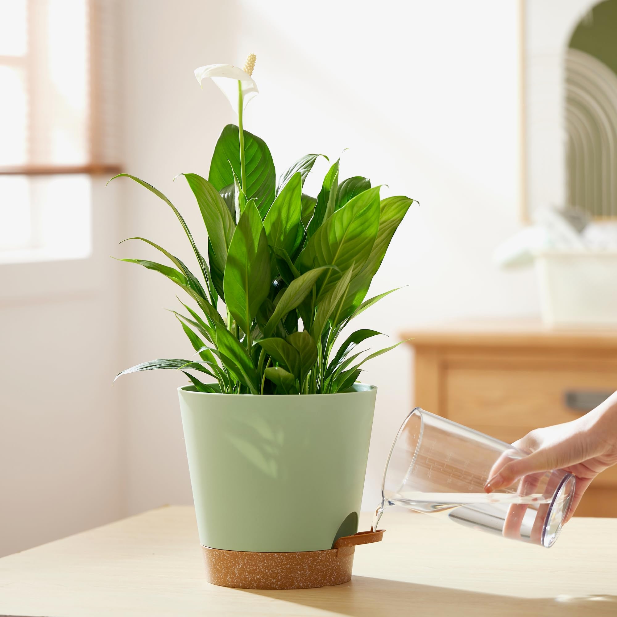 Pack of two FaithLand self watering planter pots