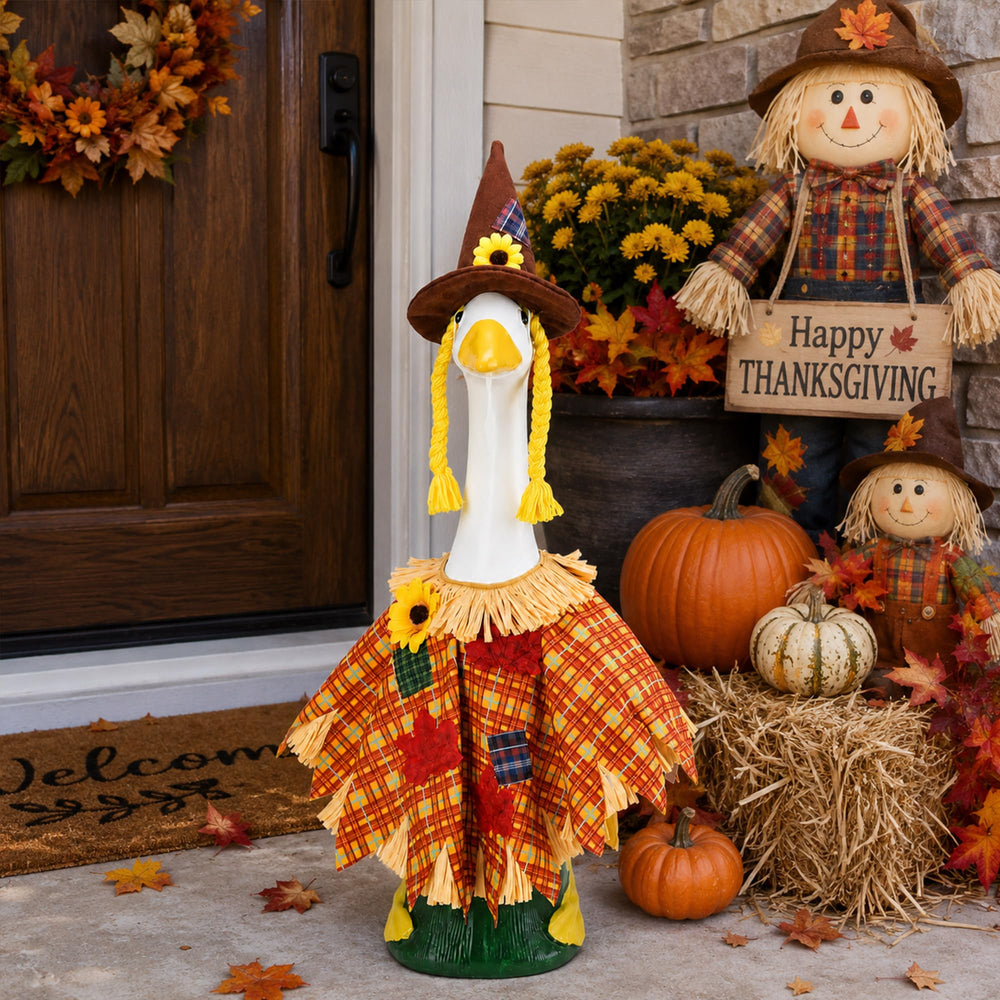Package contents of DECOHS Scarecrow Goose Outfit showing cloak and hat
