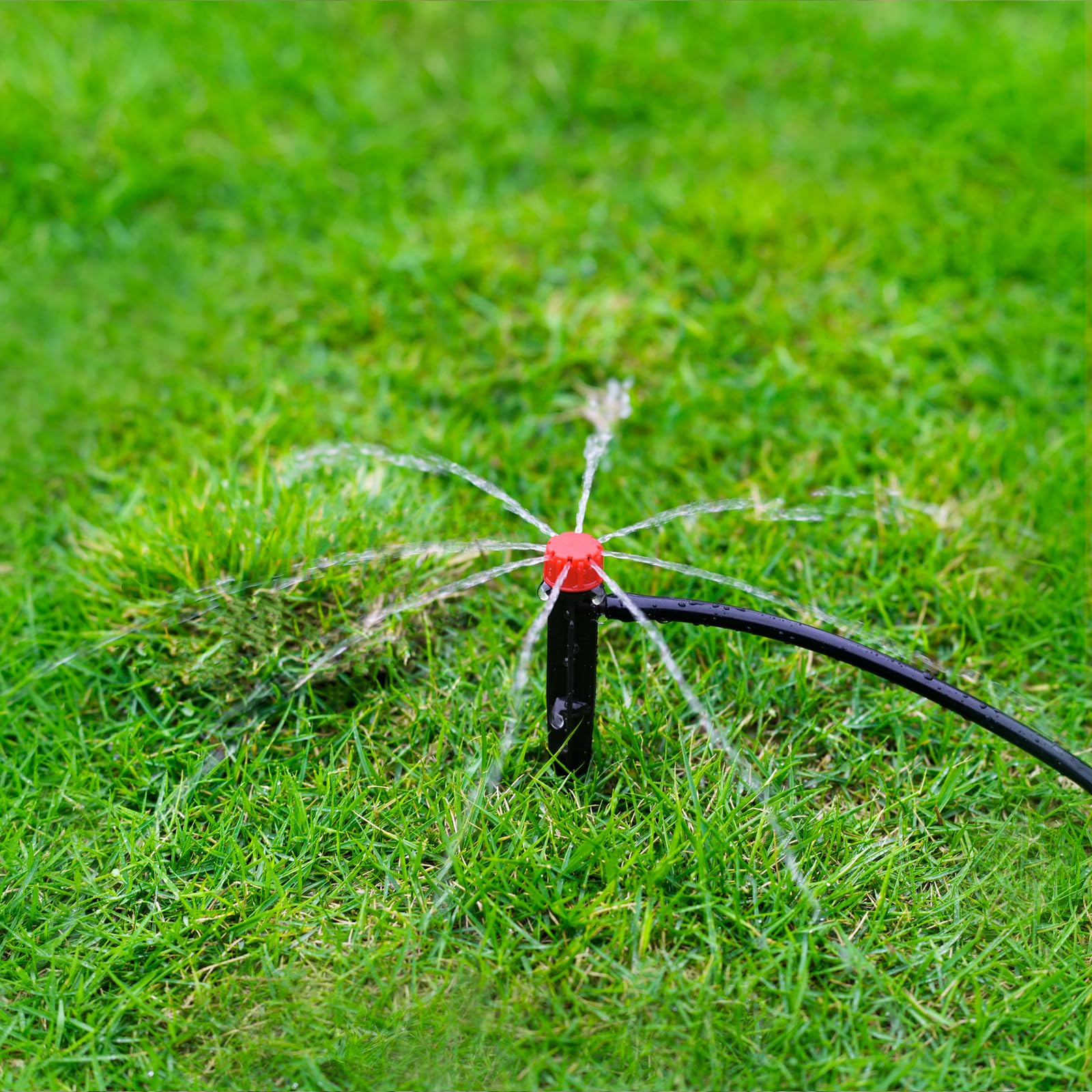Package of 100pcs La Farah drip irrigation emitters
