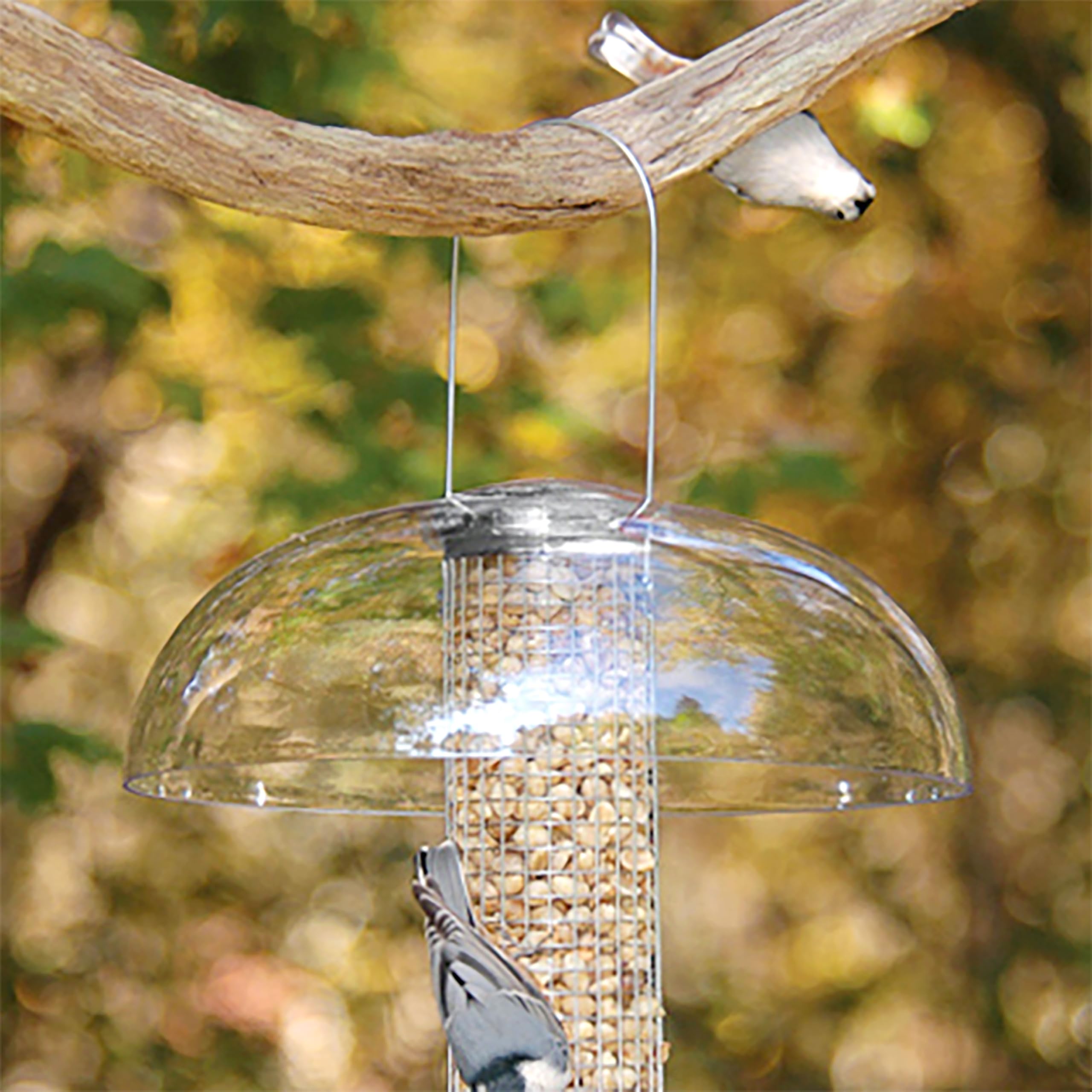 Package of Aspects 281 Tube Top Weather Dome