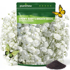 Package of PLANTMEW Baby's Breath Seeds 1.05 Ounce pouch