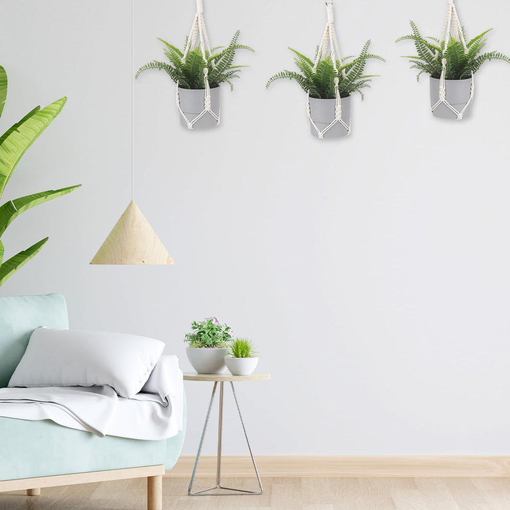 Package of Sliverdew macrame plant hangers with hooks