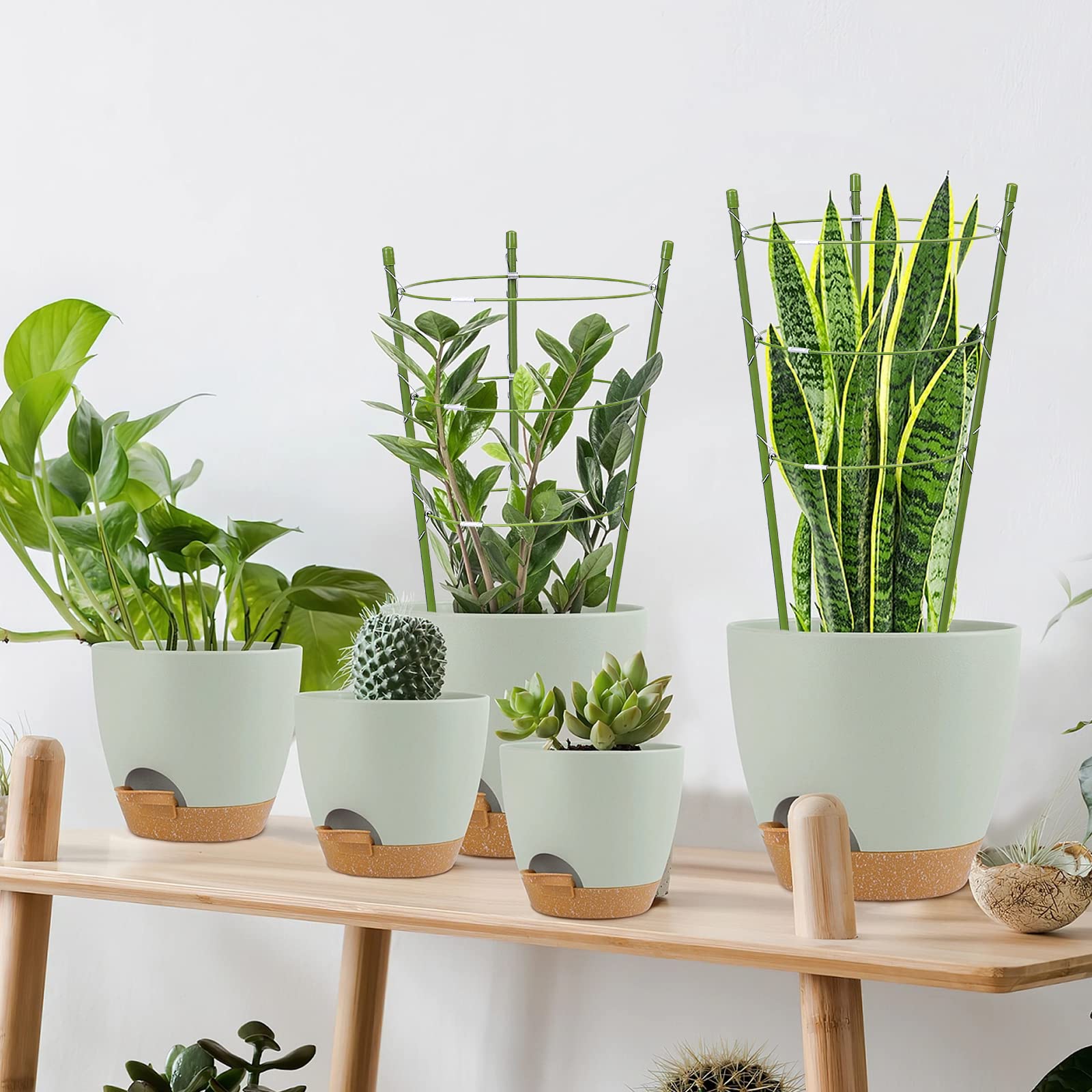 Package of TOCCYARD plant support cages with garden twist tie