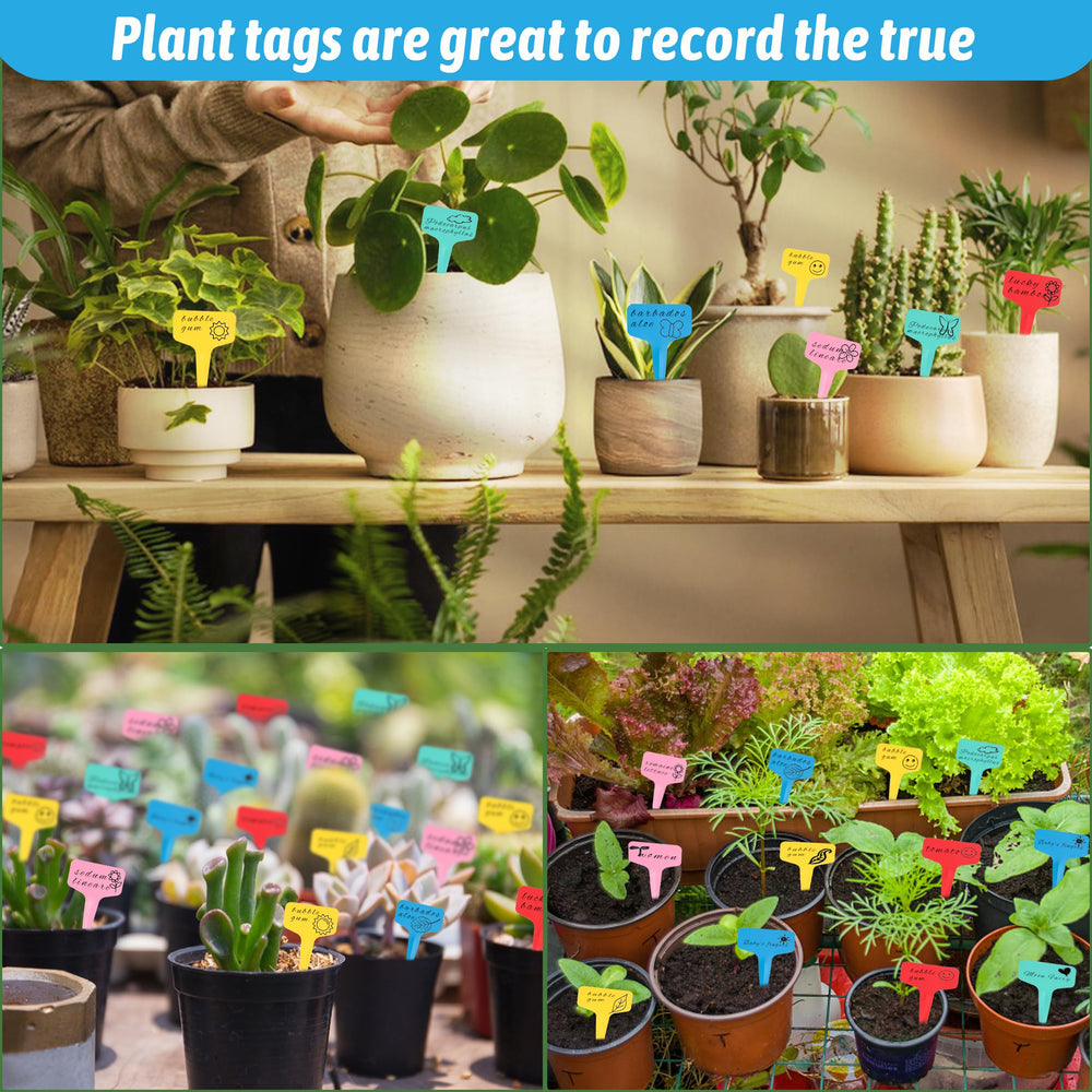 Package of Xgunion blue plant labels with marker pen