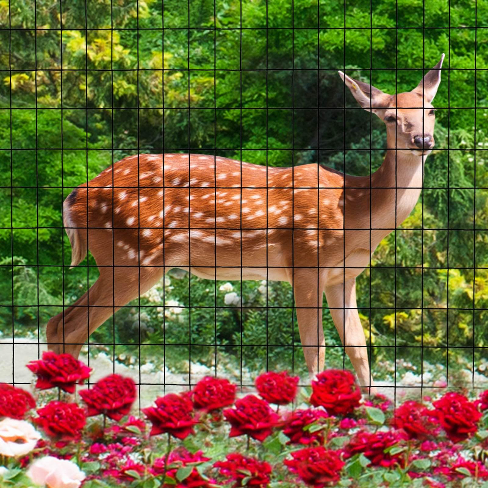 Packaged FOREHOGAR wire fence with product details