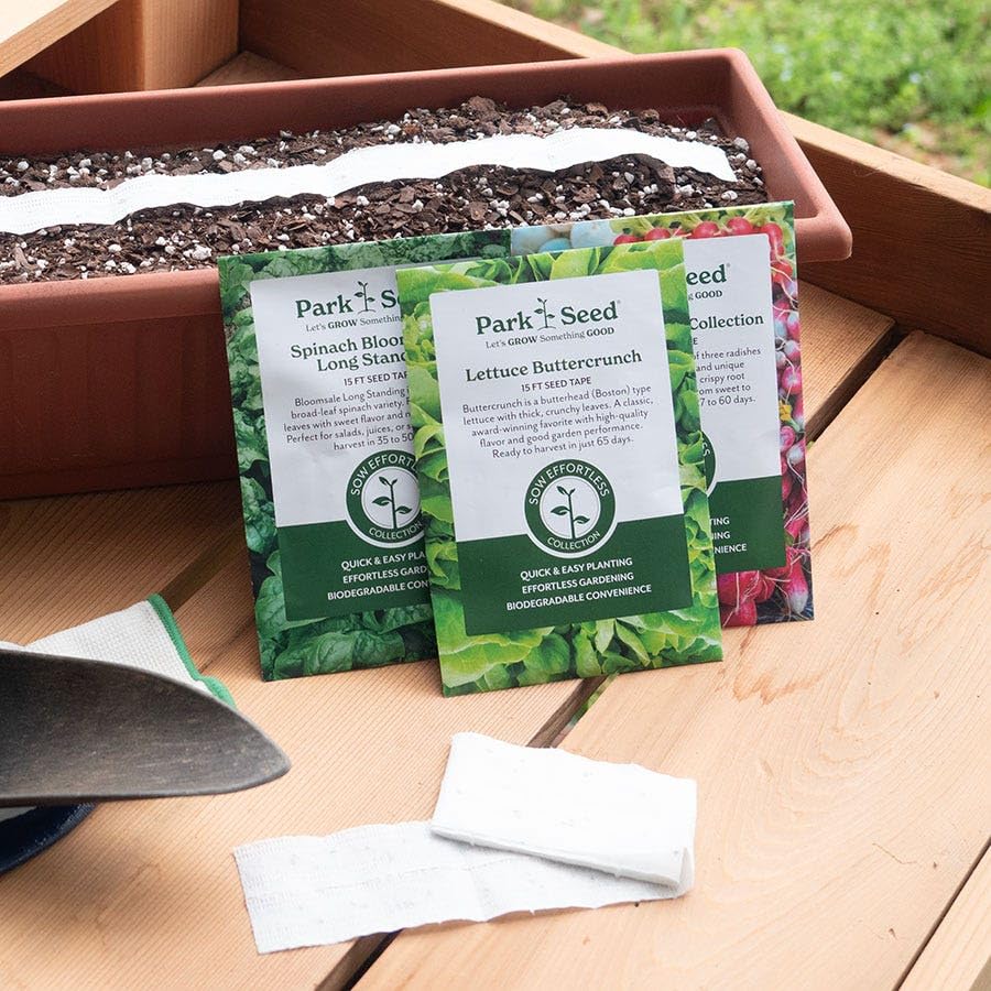 Packaged Park Seed Little Finger Carrot Seed Tape