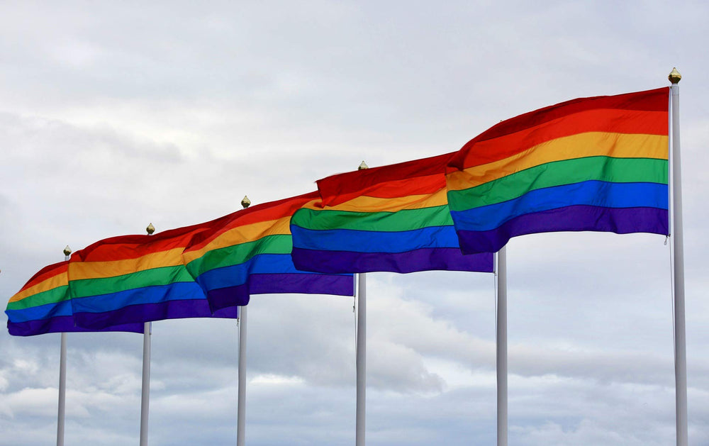 Packaged Staont Rainbow Flag 3x5ft on a white background