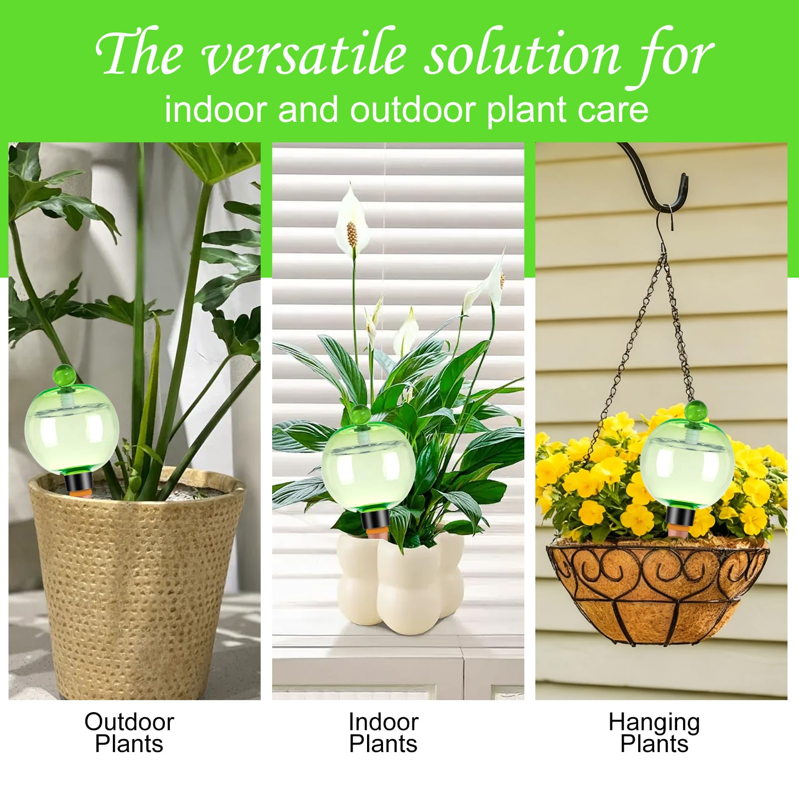 Packaging of Ansberta Self Watering Globes 6 Pack