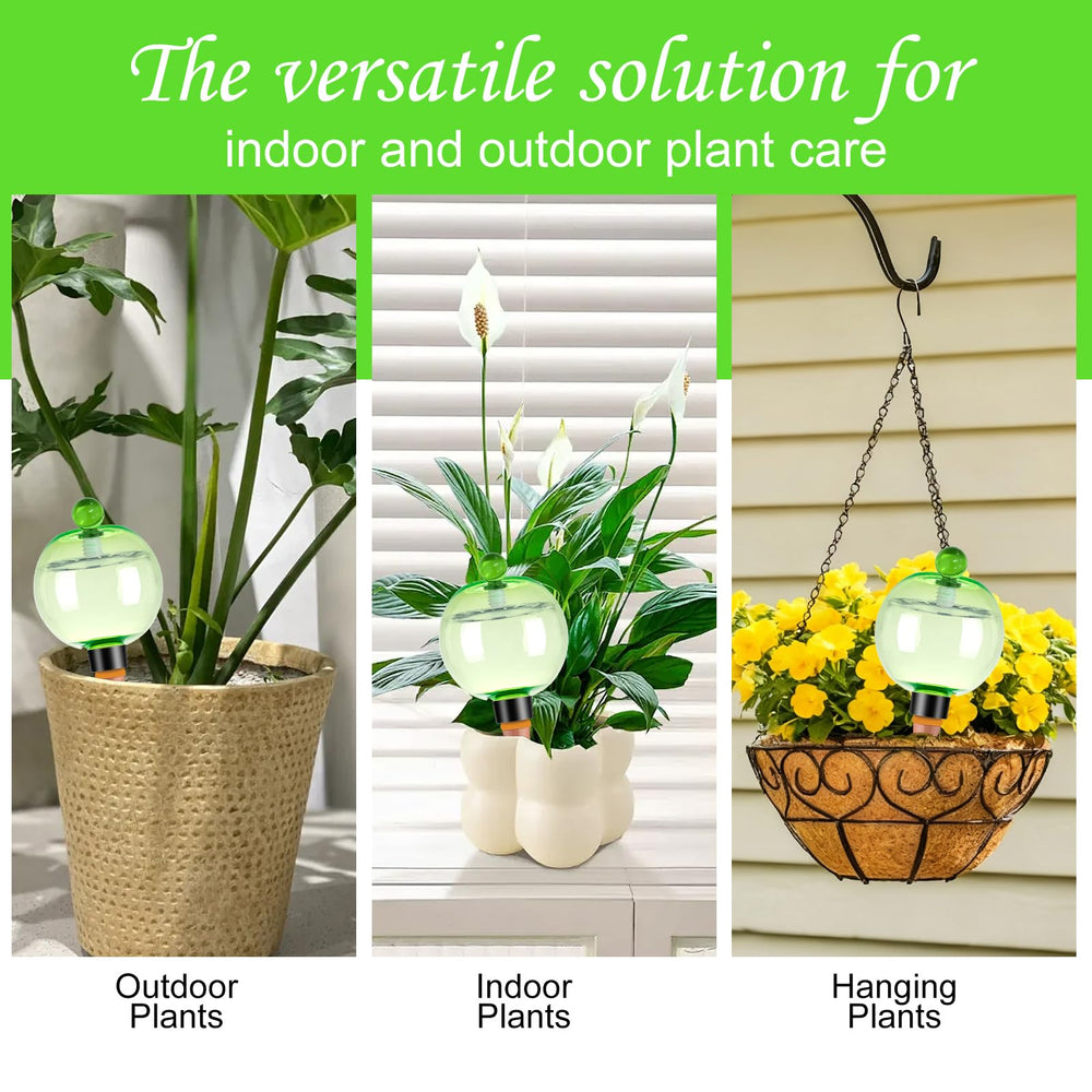 Packaging of Ansberta Self Watering Globes 6 Pack