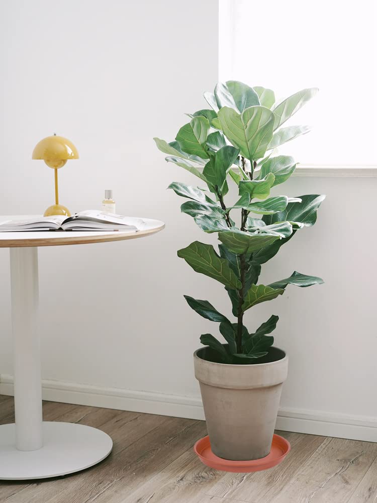 Packaging of Bleuhome 4 pack plant saucers