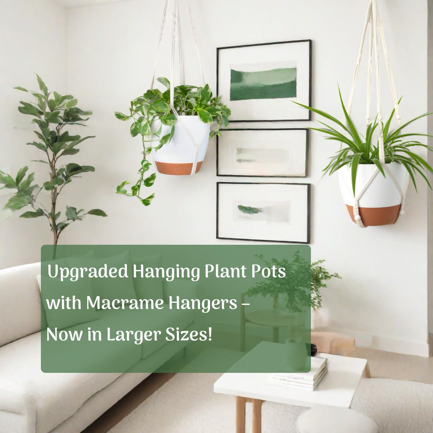 Packaging of Bouqlife self watering hanging planters