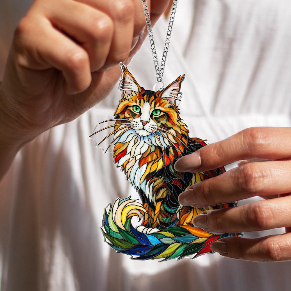 Packaging of BOYESE Maine Coon Cat Ornament showing product details
