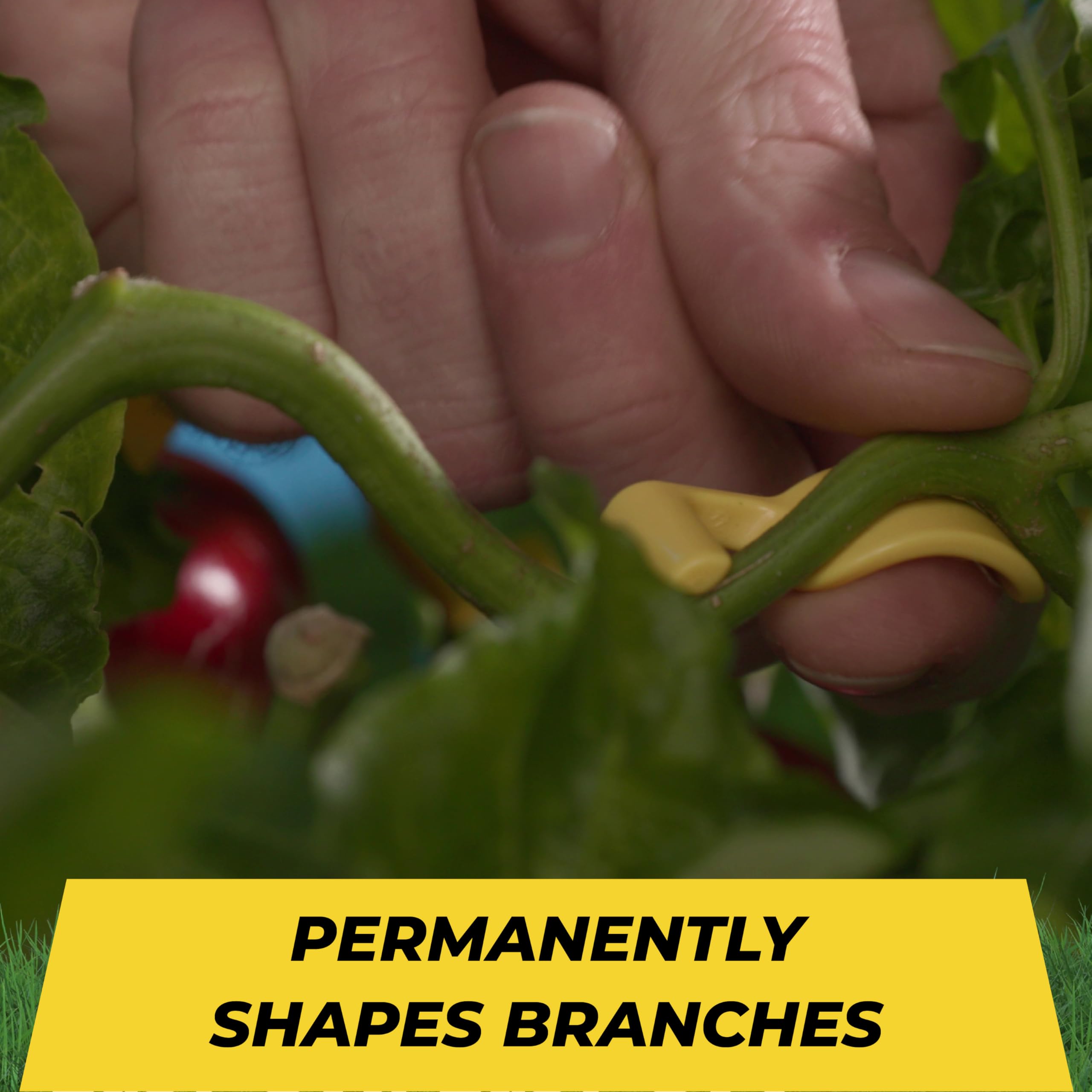 Packaging of BudTrainer BudClips showing product details