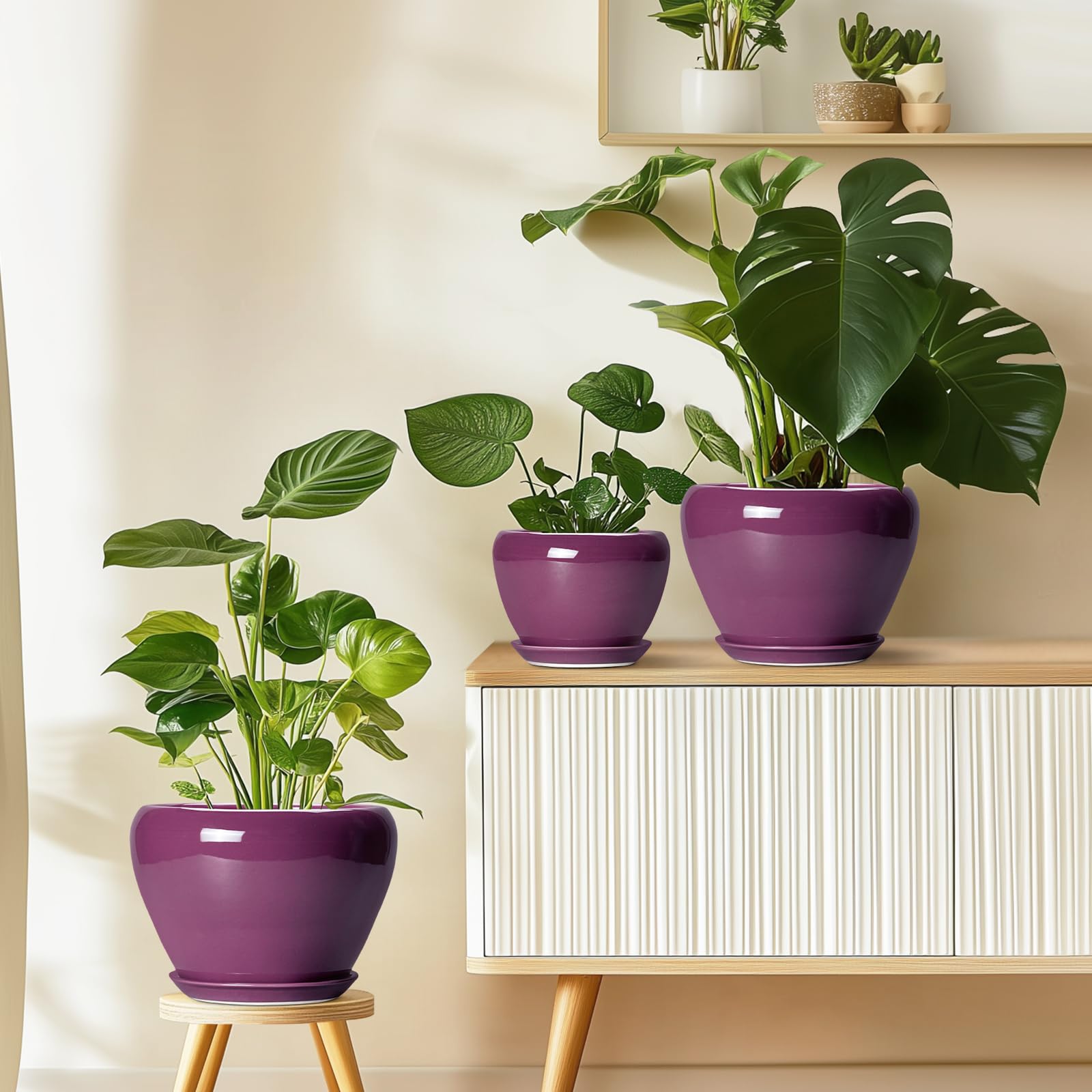 Packaging of Ceramicfor 6 Inch Ceramic Plant Pot