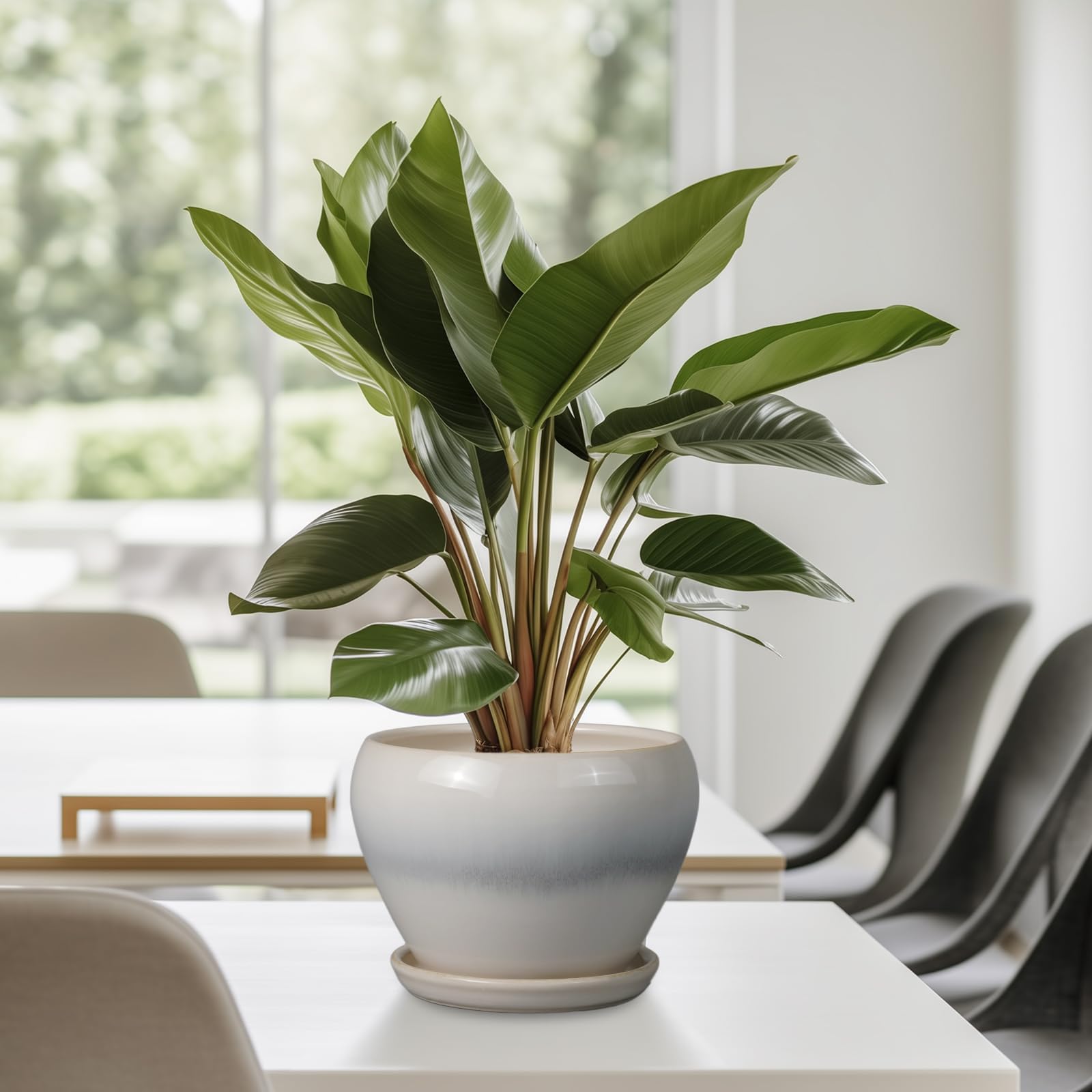 Packaging of Ceramicfor 6 Inch Ceramic Planter Pot