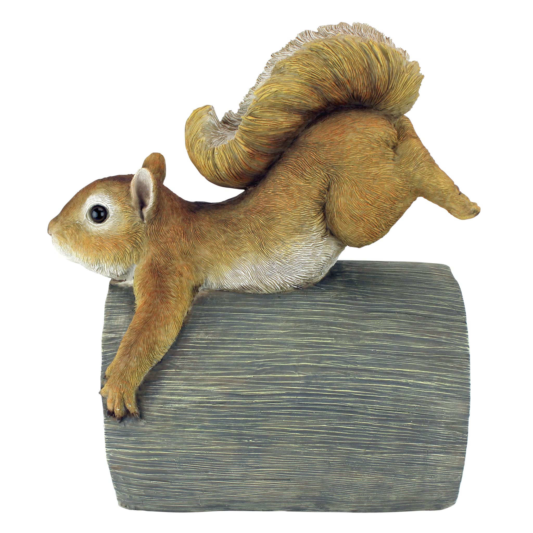 Packaging of Design Toscano Crash THE Squirrel statue