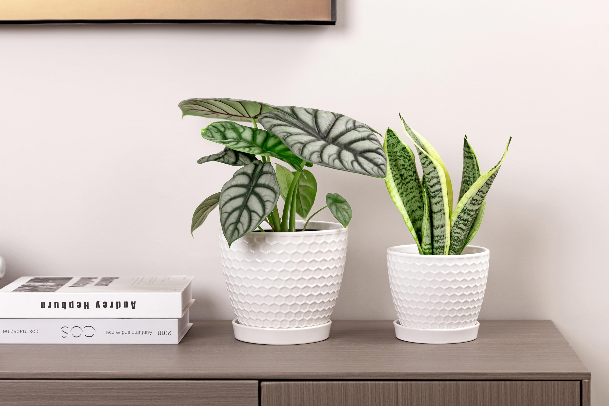 Packaging of Docrin Ceramic Plant Pots set