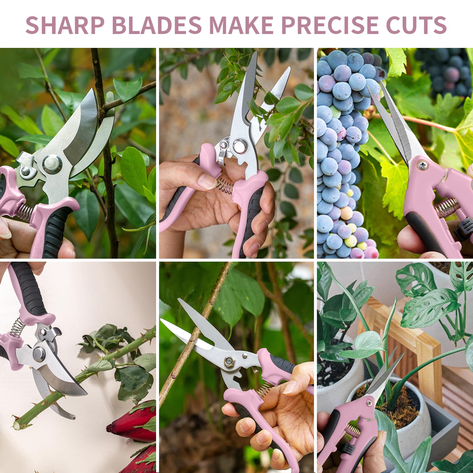 Packaging of Drametic+ 3 Pack Garden Pruning Shears