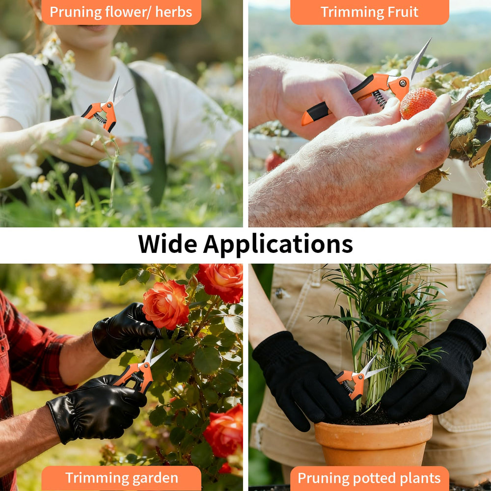 Packaging of Drametic+ Garden Pruning Shears 4 Pack