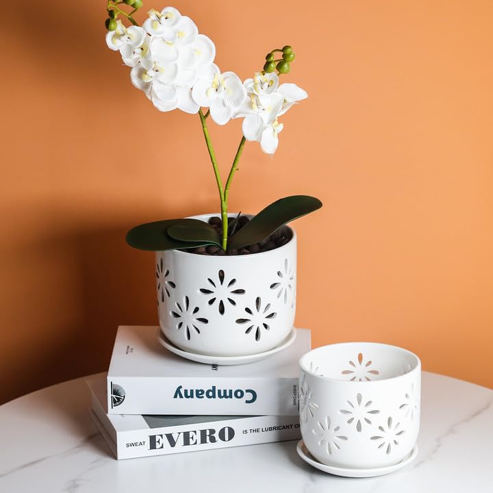 Packaging of EFISPSS orchid pot ready for gifting