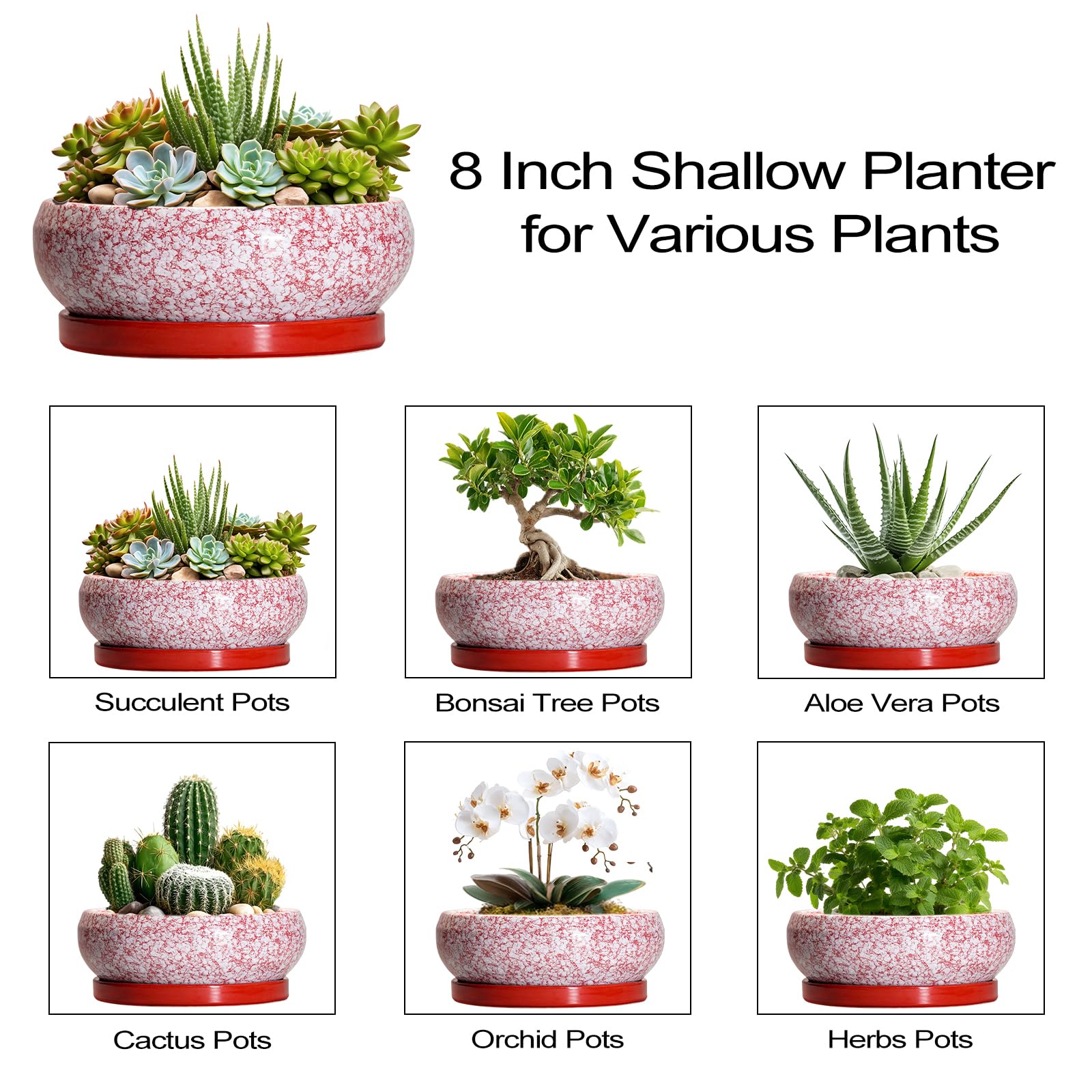 Packaging of EPFamily 8 Inch succulent pot with saucer included
