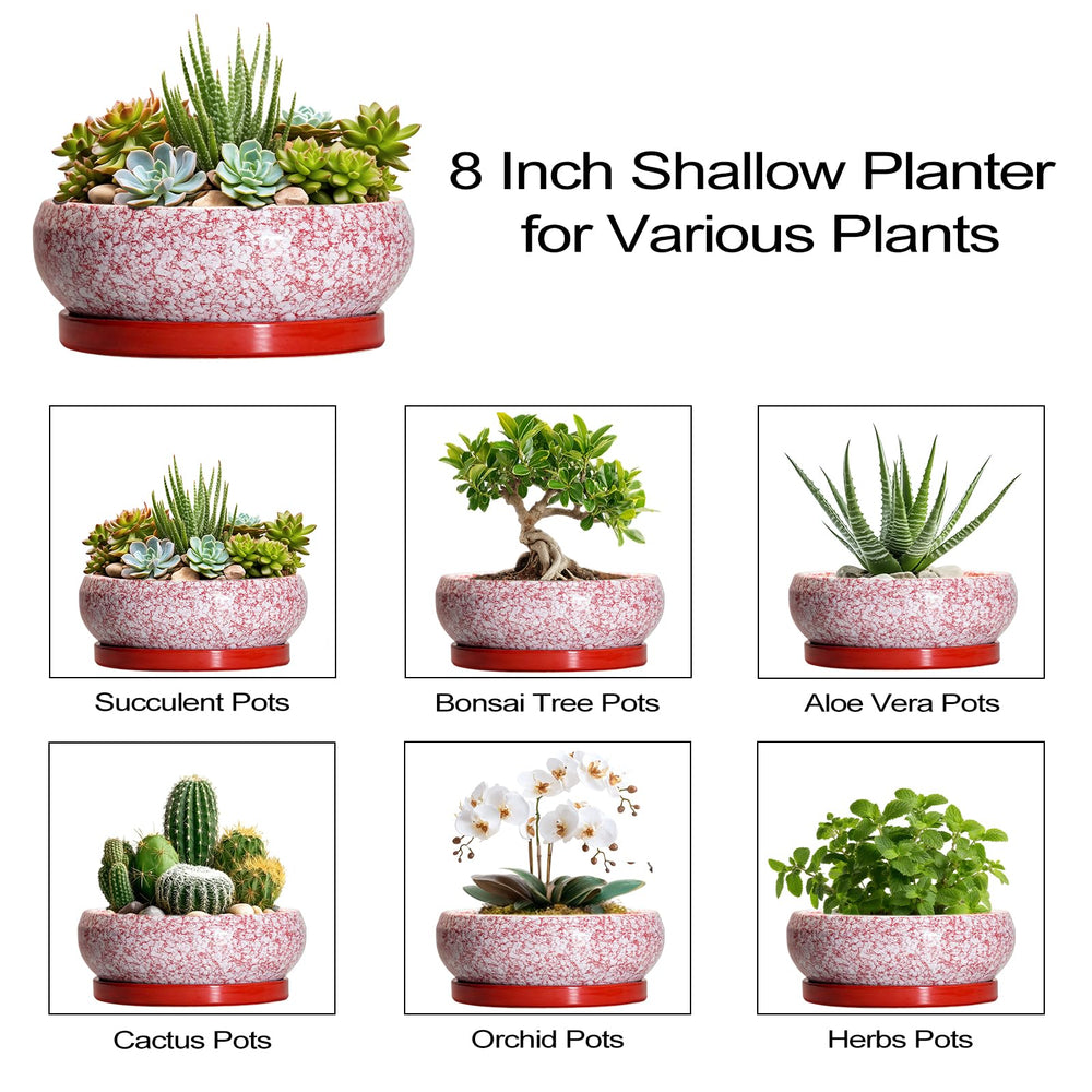 Packaging of EPFamily 8 Inch succulent pot with saucer included