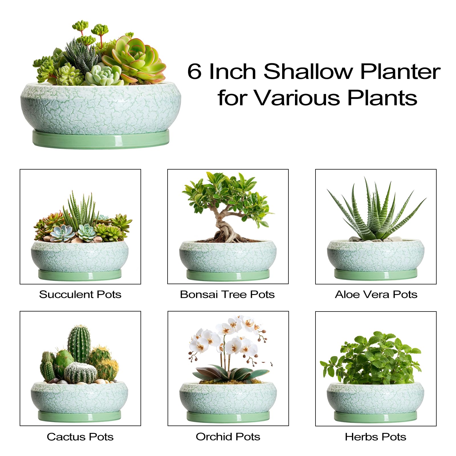 Packaging of EPFamily succulent pot with accessories included