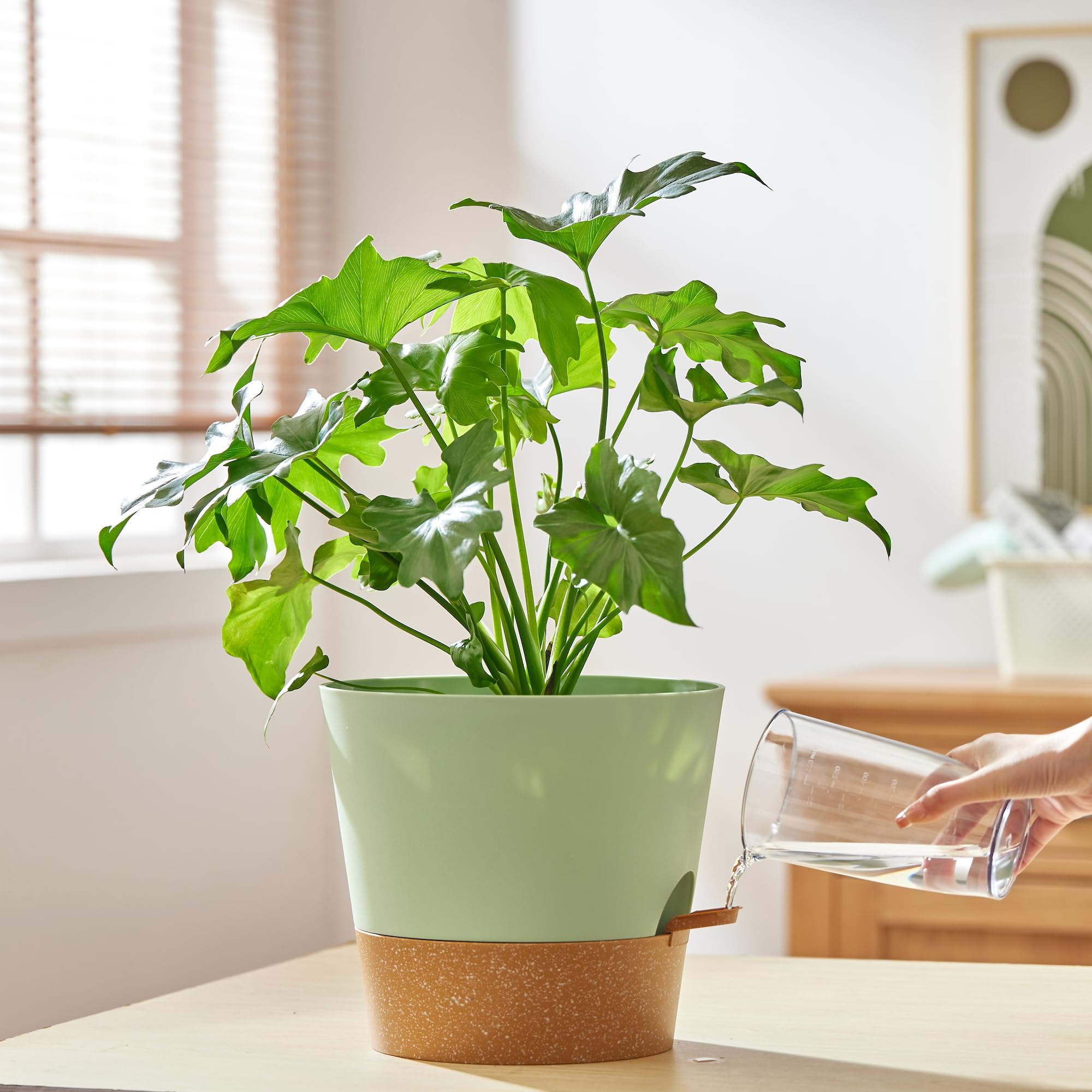 Packaging of FaithLand 10 Inch Self Watering Planter Pots