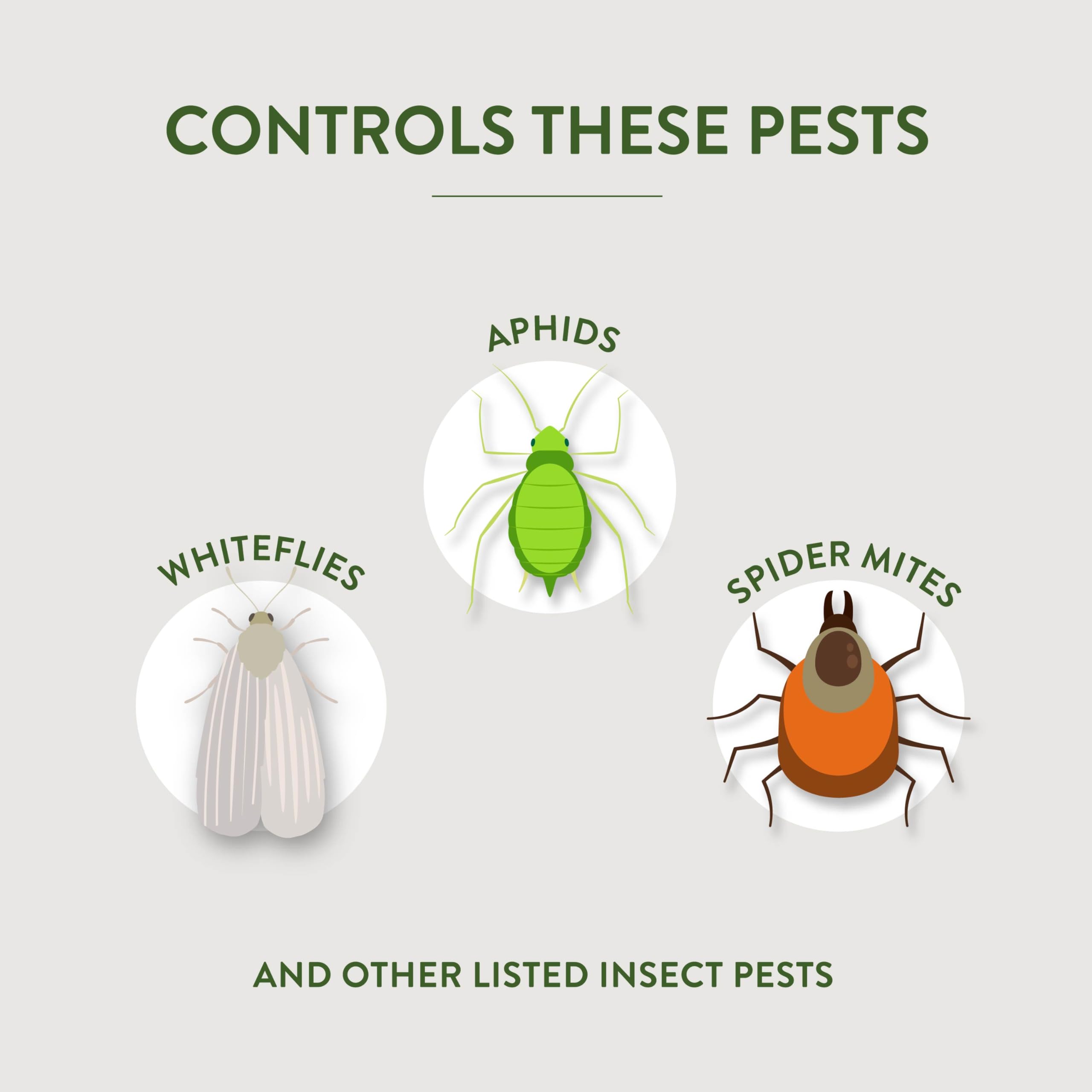 Packaging of Garden Safe Fungicide 3 with instructions