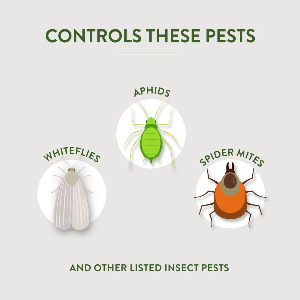 Packaging of Garden Safe Fungicide 3 with instructions