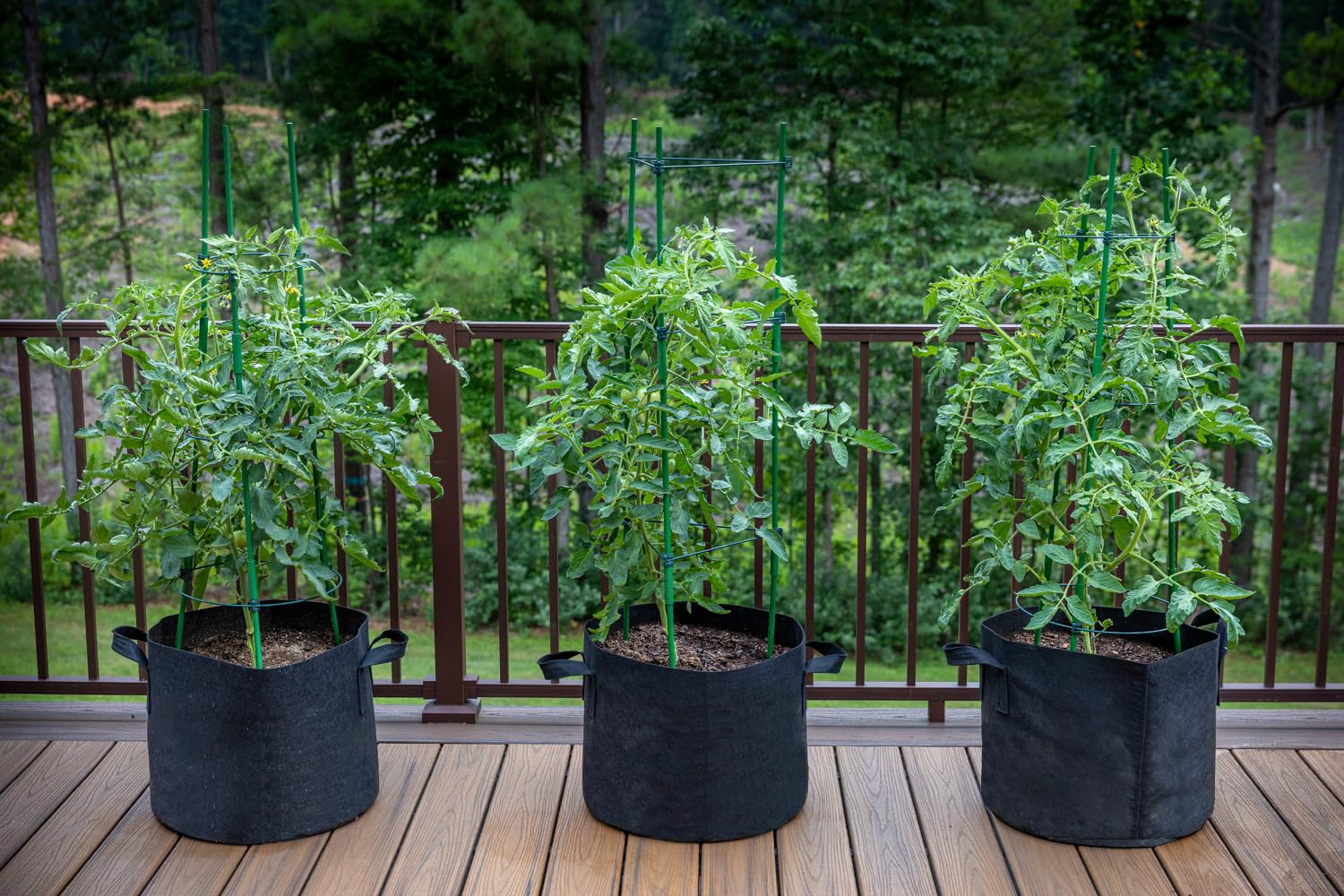 Packaging of Gardzen 20-Pack Grow Bags