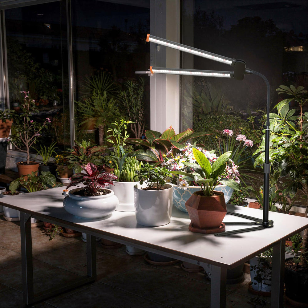 Packaging of GHodec Grow Light showing contents