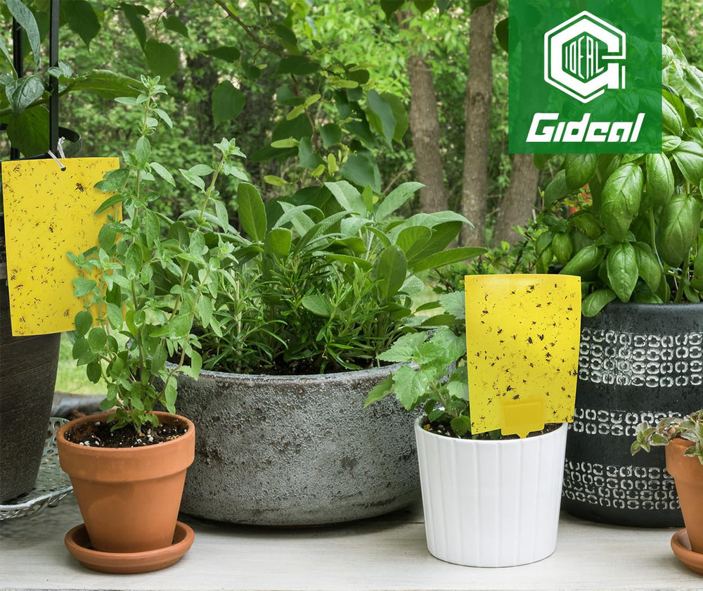 Packaging of Gideal sticky traps