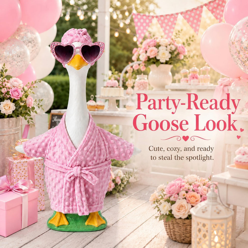Packaging of GigaCircle Lady Porch Goose Outfit