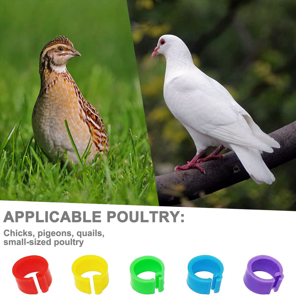 Packaging of Gmeily 200Pcs 8mm Coturnix Quail Leg Bands