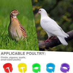 Packaging of Gmeily 200Pcs 8mm Coturnix Quail Leg Bands