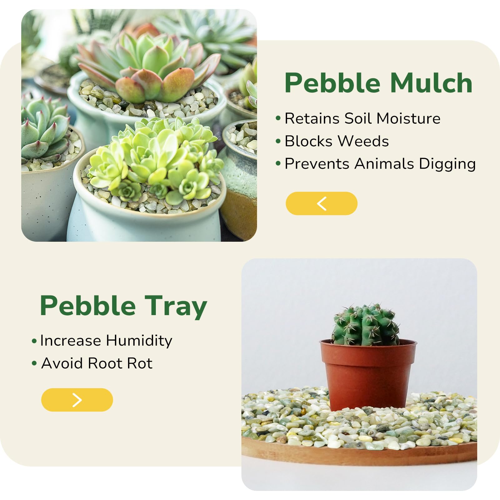 Packaging of GreatBuddy 2.5lb jade pebbles