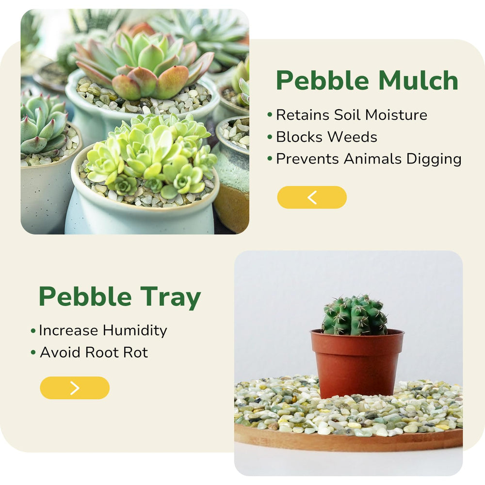 Packaging of GreatBuddy 2.5lb jade pebbles
