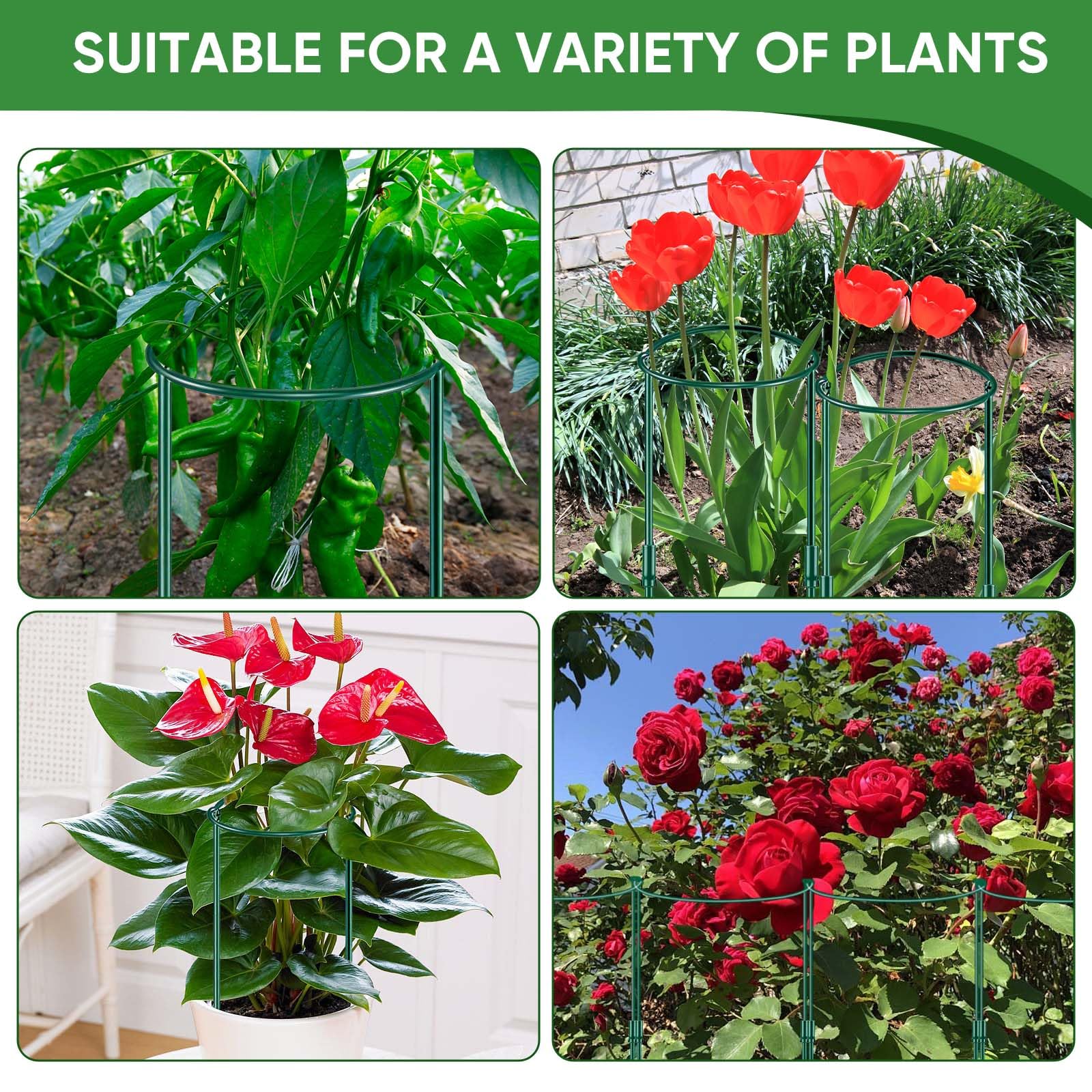 Packaging of HiGift adjustable plant support stakes