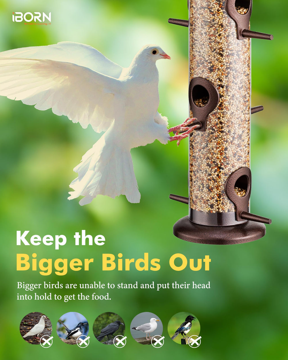 Packaging of iBorn Bird Feeder for outdoor use