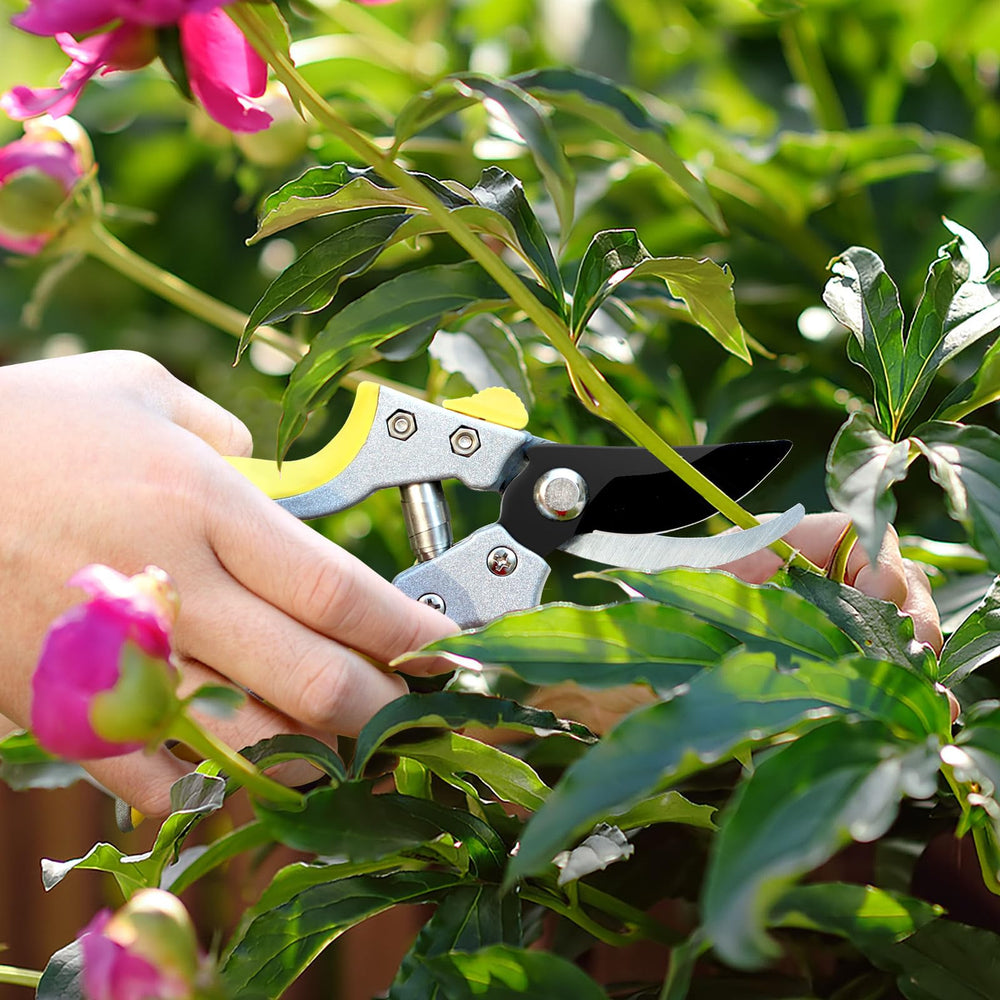 Packaging of Jardineer Heavy Duty Garden Lopper Set