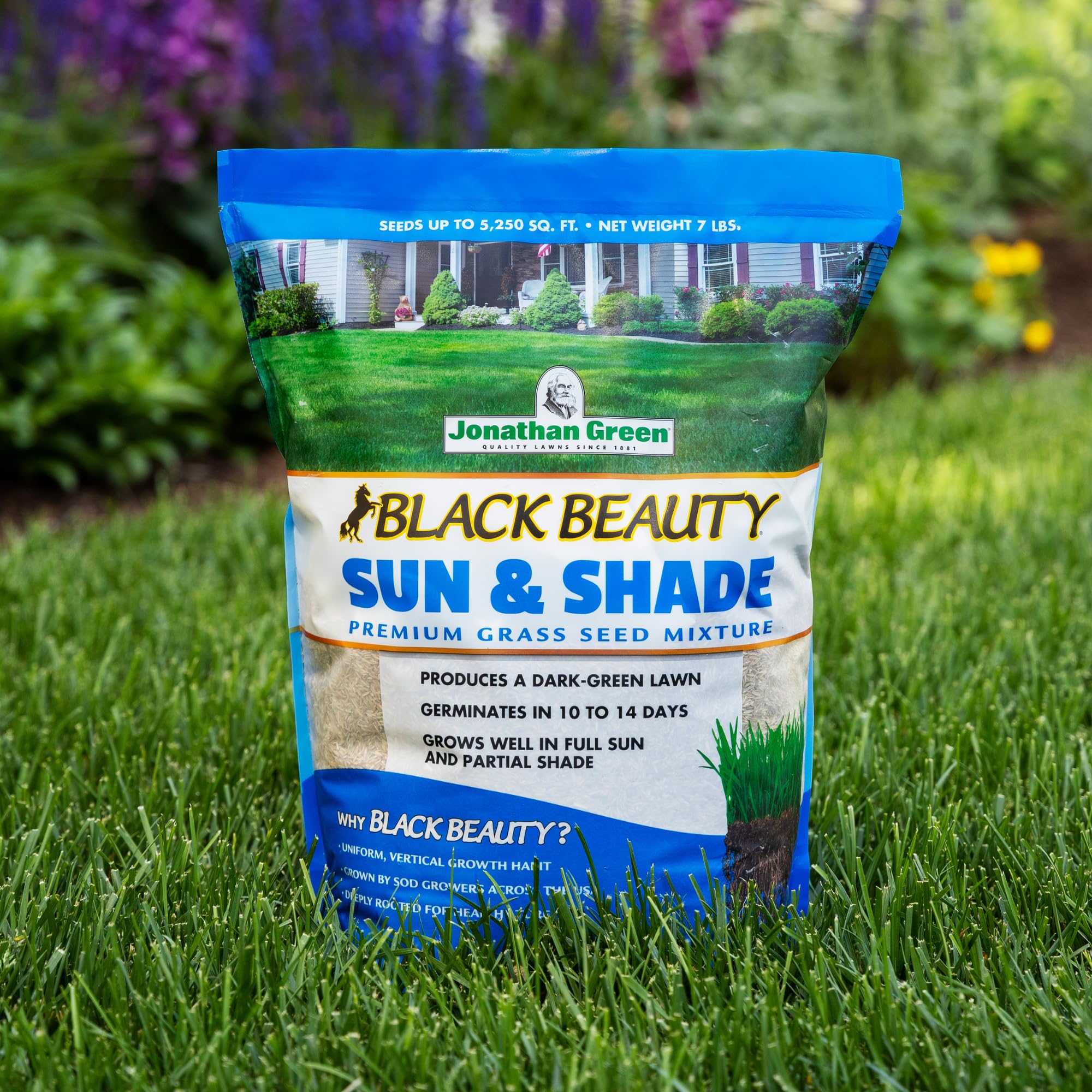 Packaging of Jonathan Green Black Beauty Sun & Shade Grass Seed