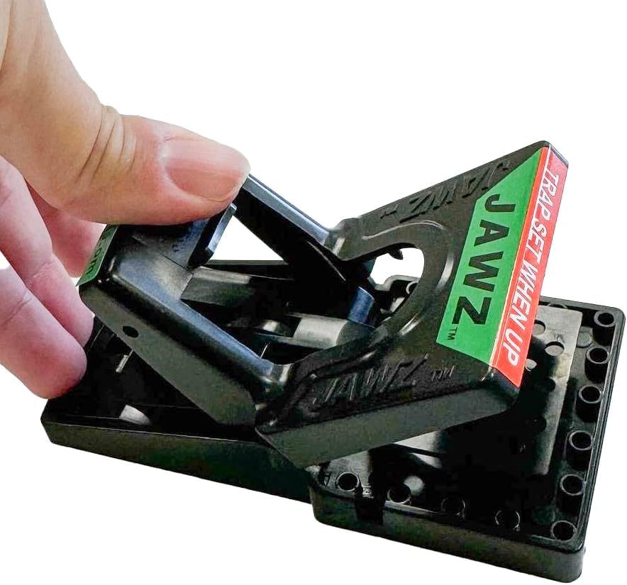 Packaging of JT Eaton Mouse Trap 12-Pack