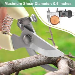 Packaging of MEPEREZ pruning scissors
